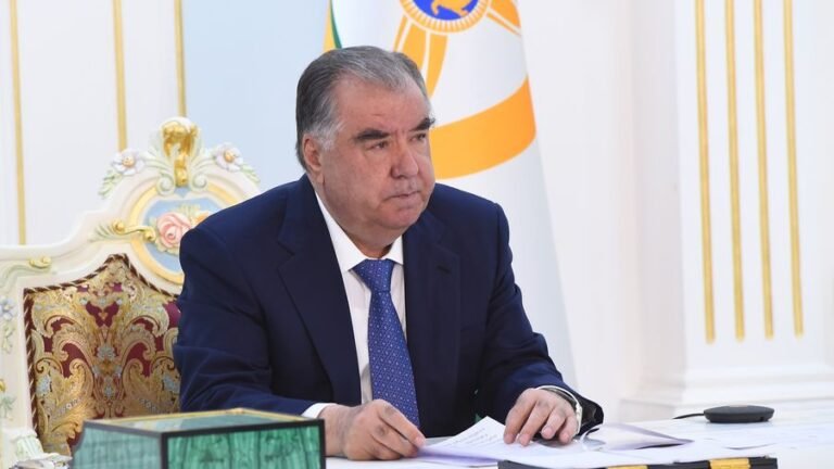 Заседание Высшего экономического совета Евразийского союза