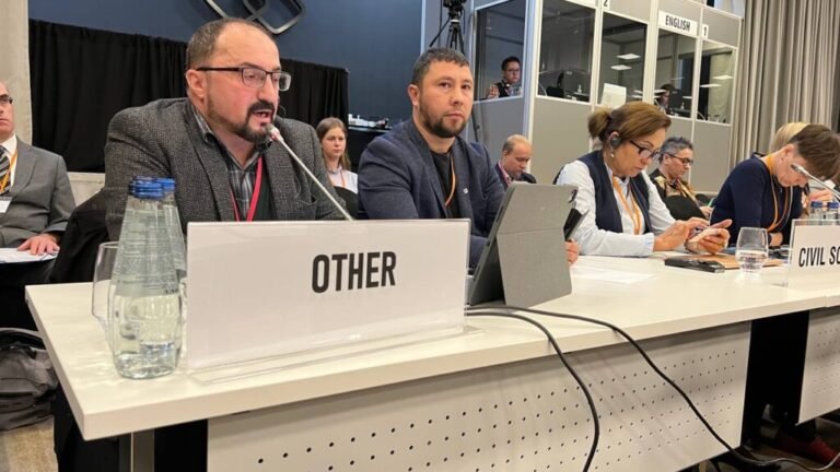В конференции ОБСЕ обсудили преследования и задержания журналистов