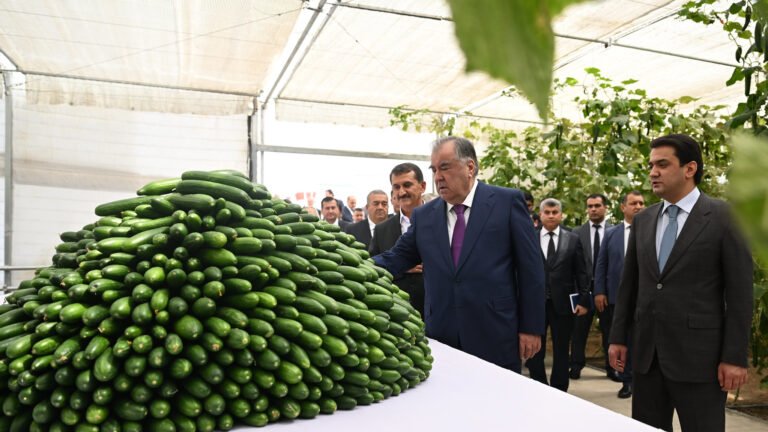 Президент и его сын открыли ряд объектов в Душанбе