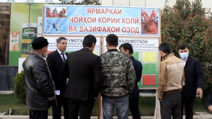 Более четырех тысяч вакантных мест в госструктурах