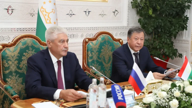 Россия и Таджикистан создадут представительства МВД друг у друга