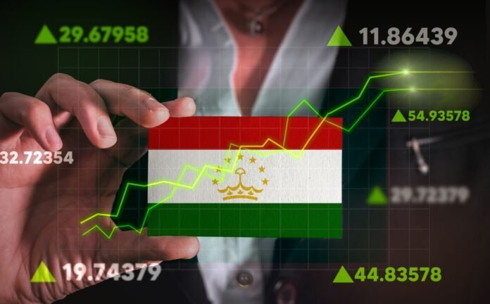 Рост ВВП и бюджета Таджикистана в два раза за пять лет. За счет чего?